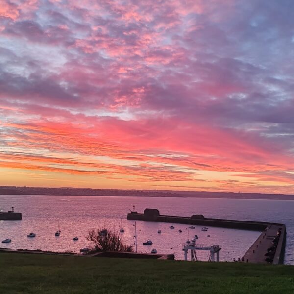 Trouble déficitaire de l’attention avec ou sans hyperactivité