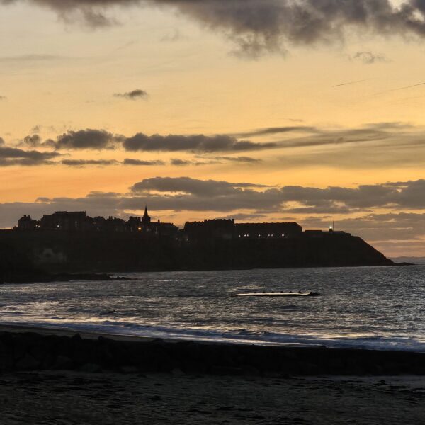 Bilan : ce que la neurodiversité a changé cette année