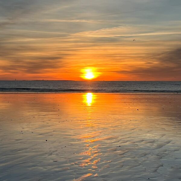 Haut Potentiel Émotionnel (HPE) : 3 vérités que la science nous révèle