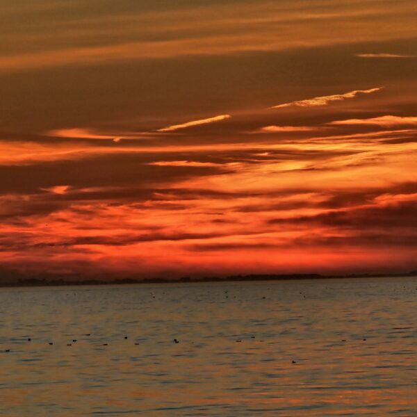 L’intuition en recrutement : atout ou piège ?